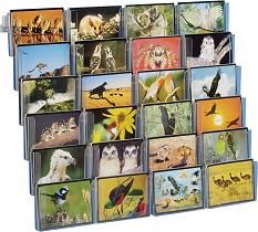 Wanddisplay mit 24 Postkartenhaltern 